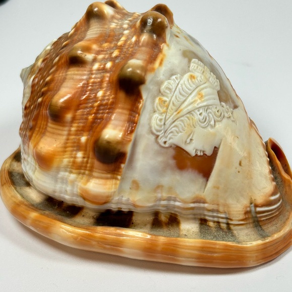 Vintage Hand Carved Cameo Victorian Left Facing Natural Large Conch Shell - Picture 2 of 10